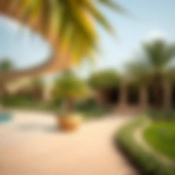 Magnificent Exploring the Green Oasis of Al Ain: Al Boghra Park