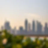 Elegant Dubai skyline showcasing the city's real estate development