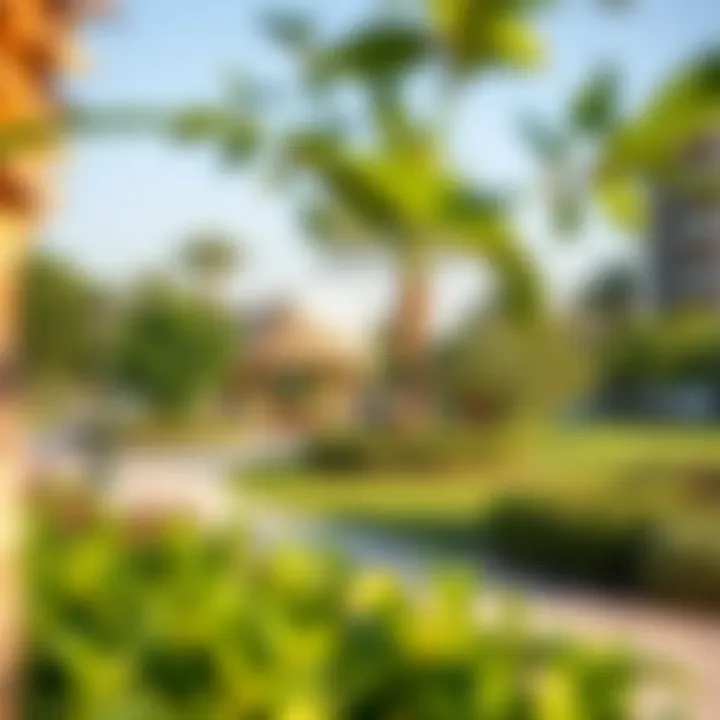 Community park in Al Quoz