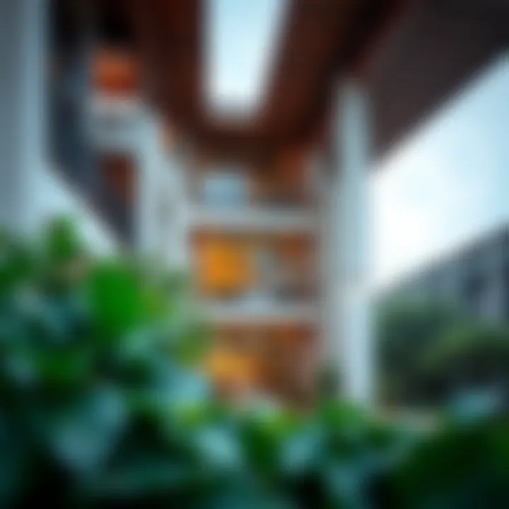 Cultural Integration in Architectural Design Cultural elements integrated in Citadines Culture Village design