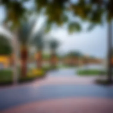 Vibrant community park in Al Mamzar