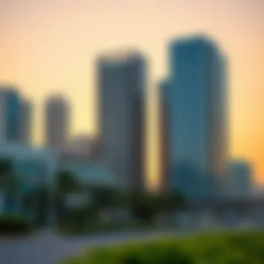 Modern commercial developments in Dubai South