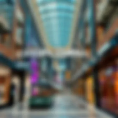 Captivating Luxury Shopping Experience Captivating luxury shopping experience in Dubai Mall