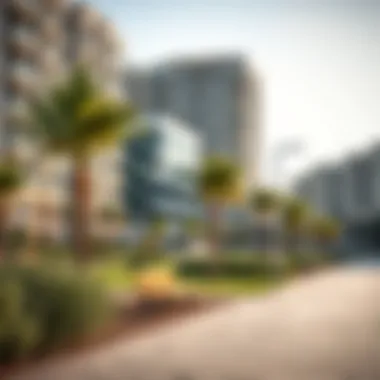 Community park in Mirdif Shurooq