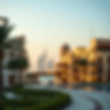 Exploring شاطى لامير: A Comprehensive Overview Summary