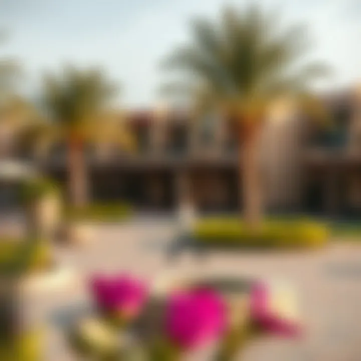Community amenities and recreational areas in Souq Badr