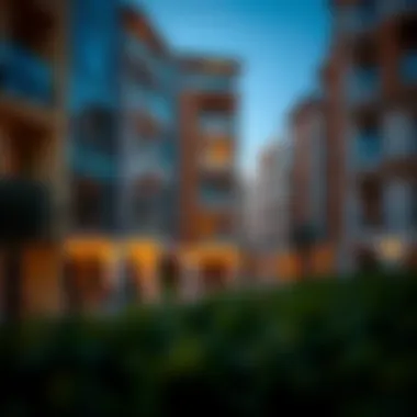 Exploring Various Types of Rental Properties in Dubai A diverse range of residential properties available for rent in Dubai