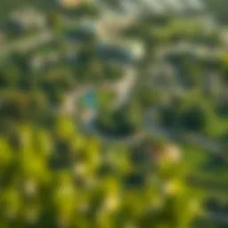 Aerial view showcasing the lush greenery of Barari