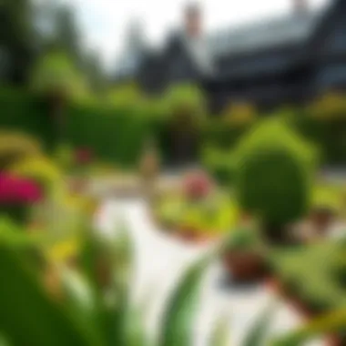 Landscaped Gardens of Fairmont Hotel Beautifully landscaped surroundings of Fairmont Hotel