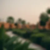 Exploring the Green Oasis of Al Ain: Al Boghra Park Introduction