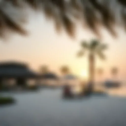 Exploring the Serenity of Creek Beach Grove Introduction