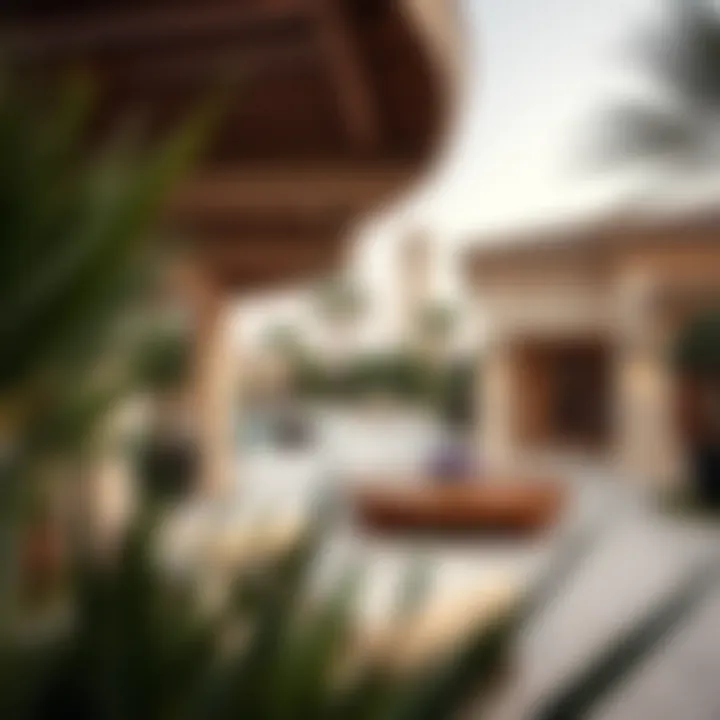 Opulent Outdoor Spaces in Dubai Villas Stunning outdoor area of a Dubai villa with opulent landscaping