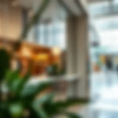 Notable Renting Retail Spaces in International Cities