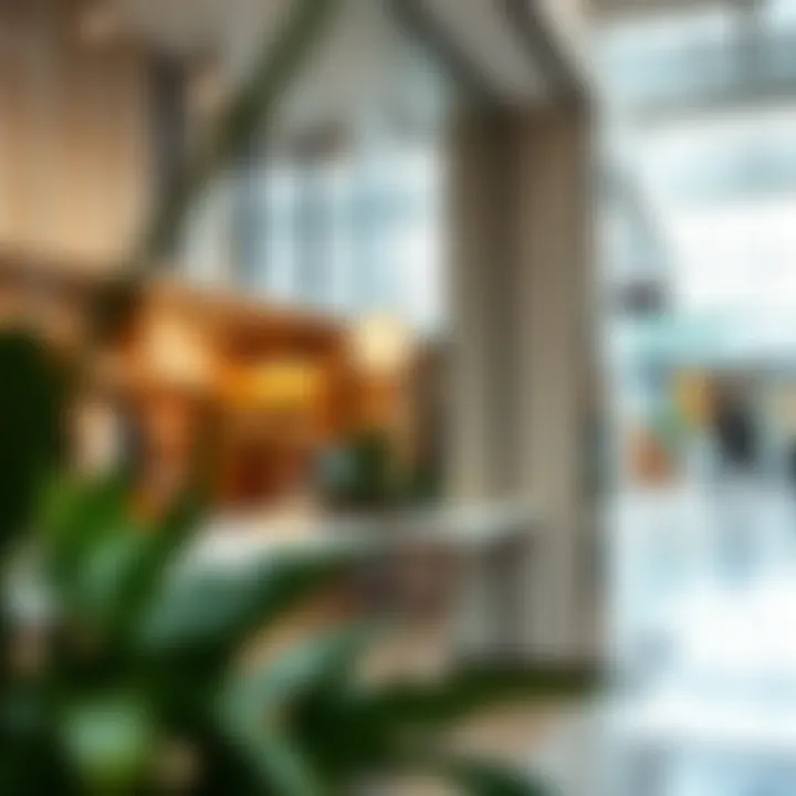 Notable Renting Retail Spaces in International Cities