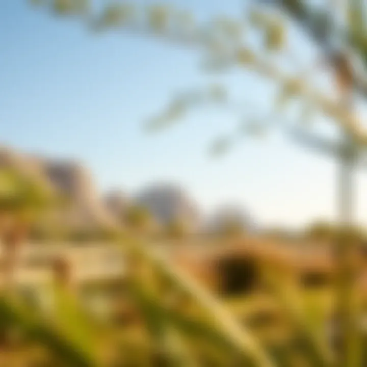 Serene natural reserve showcasing Dubai's ecological diversity